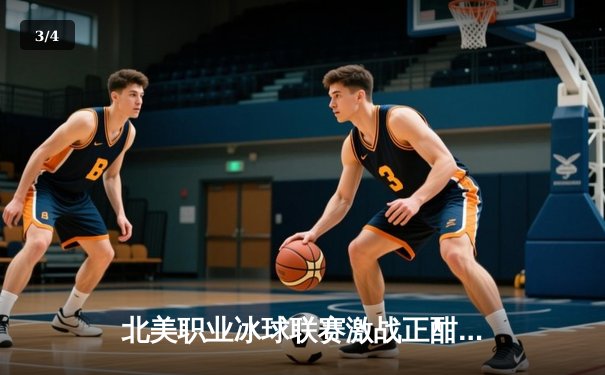 北美职业冰球联赛激战正酣：多伦多枫叶队加时绝杀波士顿棕熊队 - 3