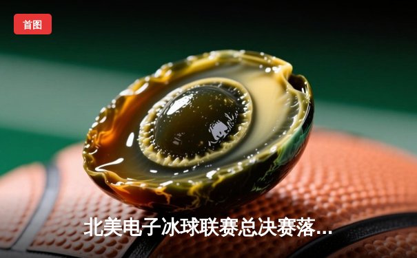 北美电子冰球联赛总决赛落幕：芝加哥闪电队4-3加时绝杀卫冕冠军